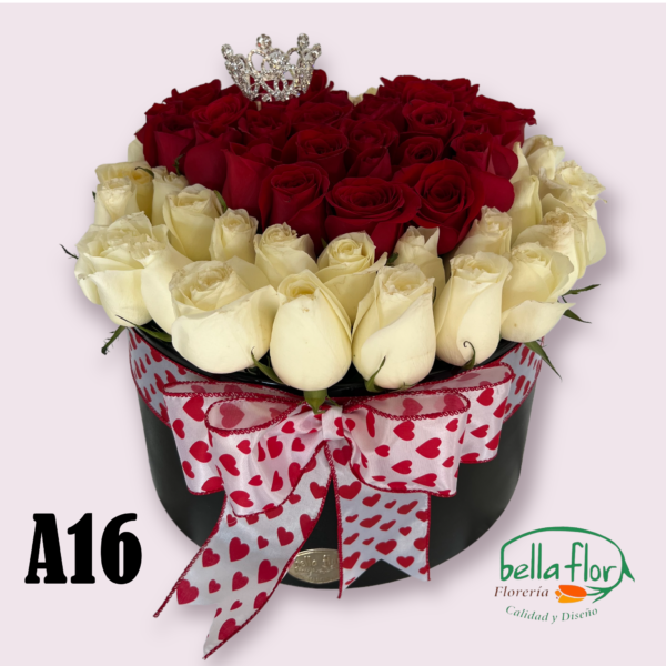 A16 - Image 2