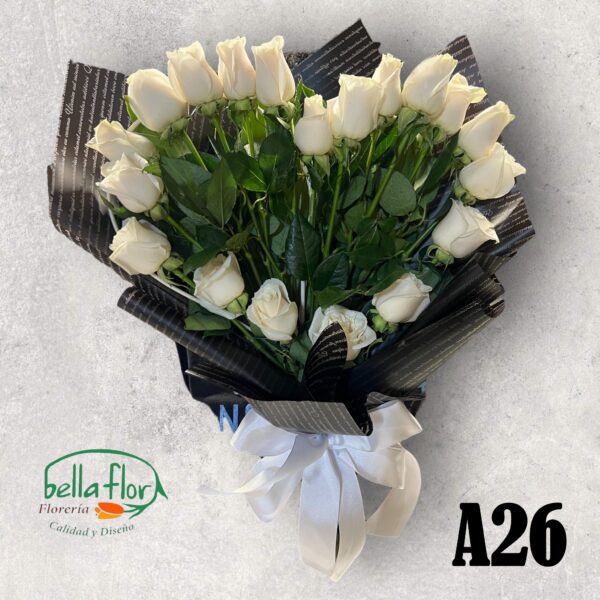 A26
