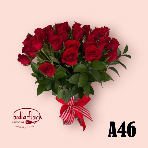 A46 - Image 3