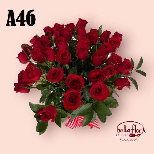 A46 - Image 2
