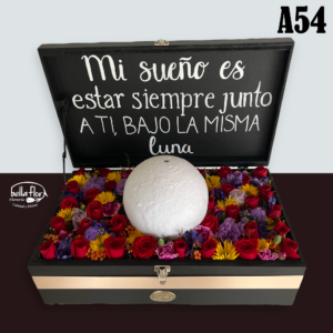 A54
