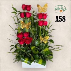 A58