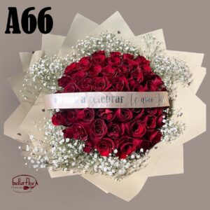 A66