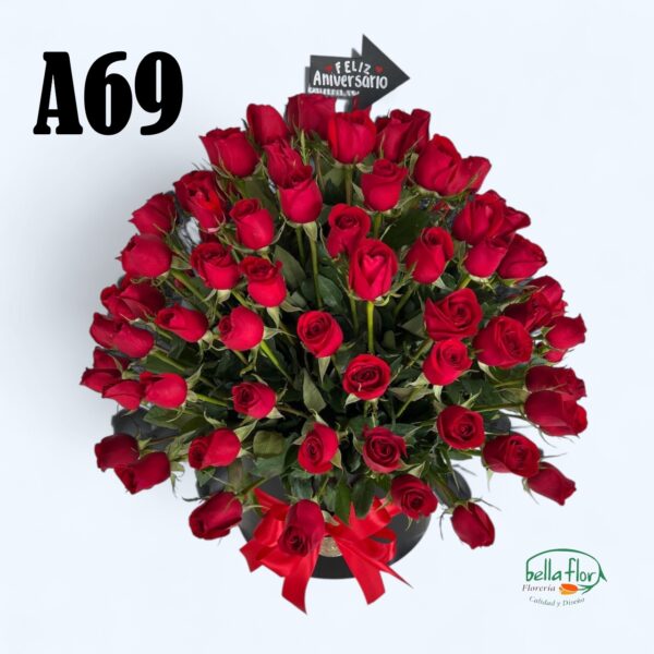 A69