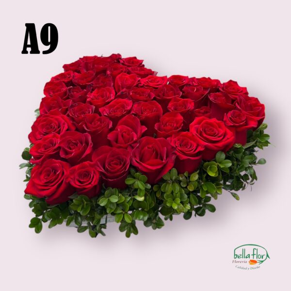 A9 - Image 2